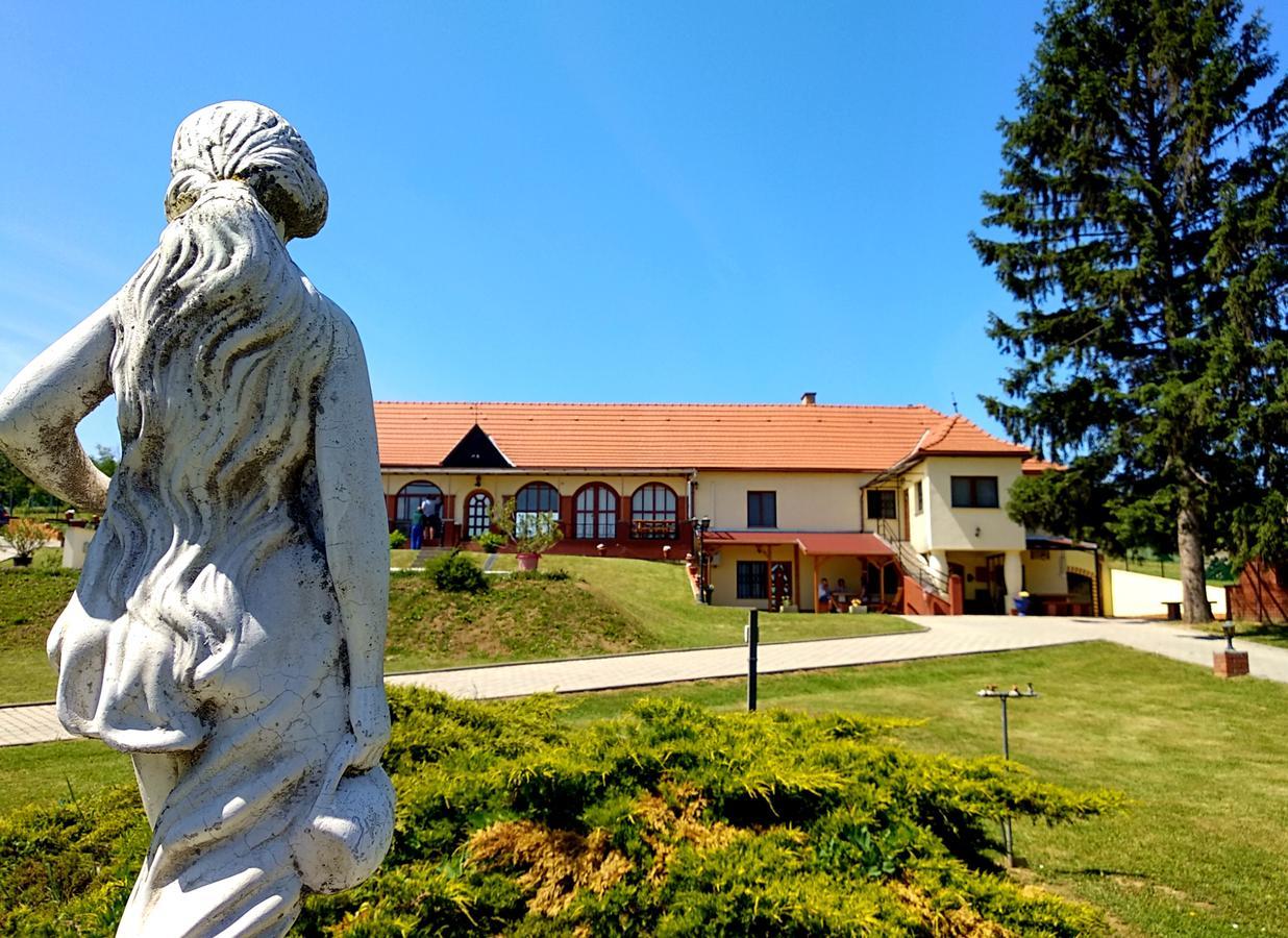 Villa Teleki Εξωτερικό φωτογραφία