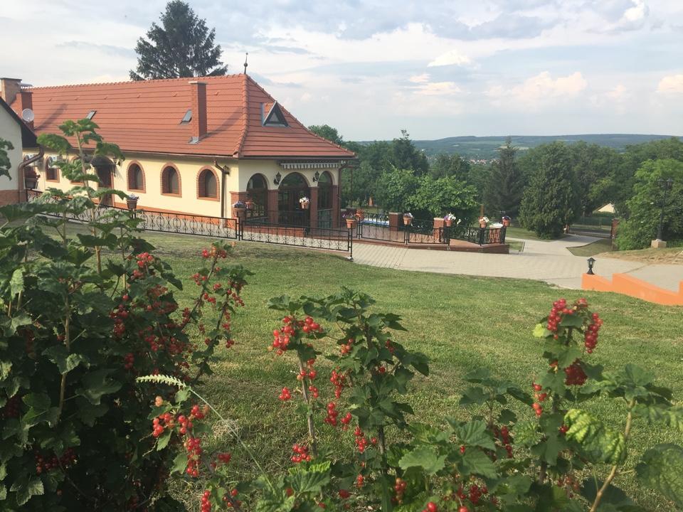 Villa Teleki Εξωτερικό φωτογραφία